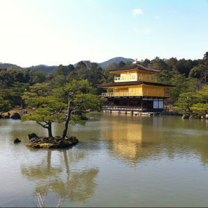 anomam_desu's profile picture. ML, Software, Sustainability
Opinions are my own