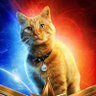 Jemapellenyny's profile picture. Creative  TV / Production