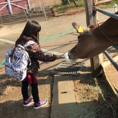 sakurapapaさんのプロフィール画像