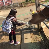 sakurapapa (@sakura30201906) 's Twitter Profile Photo sakurapapa (@sakura30201906) 's Twitter Profile Photo
