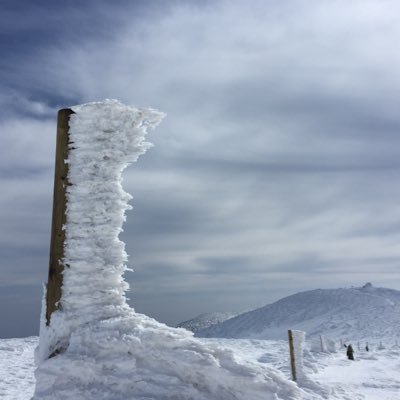 前シーズンにスノーシューデビュー 。今年は泉ヶ岳と熊野岳、刈田岳。宮城県中心に東北の山歩き。高山植物大好き❤