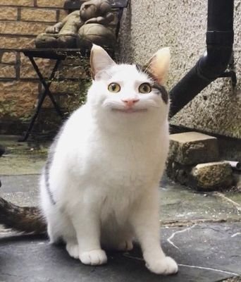 ILovYour_art's profile picture. 열심히 구독하고 다님. 해치지 않아요...