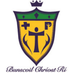 Bunscoil Chríost Rí (@bunscoilc) Twitter profile photo Bunscoil Chríost Rí (@bunscoilc) Twitter profile photo
