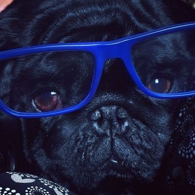 CristianSanGar's profile picture. Si mi origen es el polvo, cada país es el mío, y los mundos, mis parientes. 
Abu l-Salt ibn Umaya. Denia. S.XI.