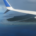 基本一人旅 (@crazy_traveler1) Twitter profile photo 基本一人旅 (@crazy_traveler1) Twitter profile photo