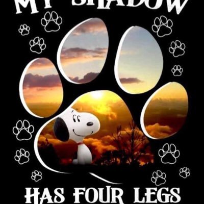 clare_lou's profile picture. 