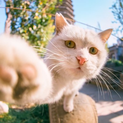 WwY0o0's profile picture. 嘿嘿嘿呼呼嘿