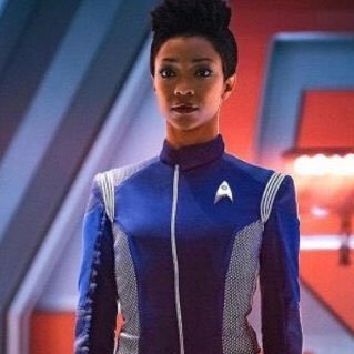 Commander Michael Burnham. Daughter of Sarek, sister of Spock, investigator of the anomaly known as the Red Angel.