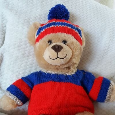 knit_and_bike's profile picture. 