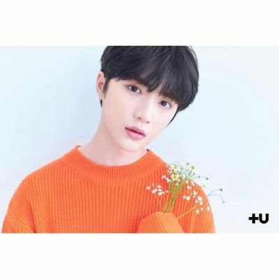 amaistxtstan's profile picture. nctzen, EXOL, reveluv, igot7, vip, army, once, blink, txt stan