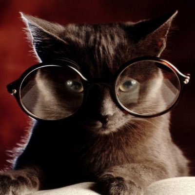 YazarlarNeDemis's profile picture. 