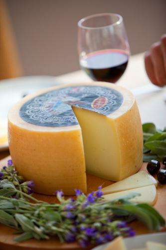 Sirana Gligora, a family run dairy specialising in the craft of high class artisan cheeses on the Island of Pag in Croatia