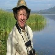 Richard Raby (@birdingbrasil) | Twitter