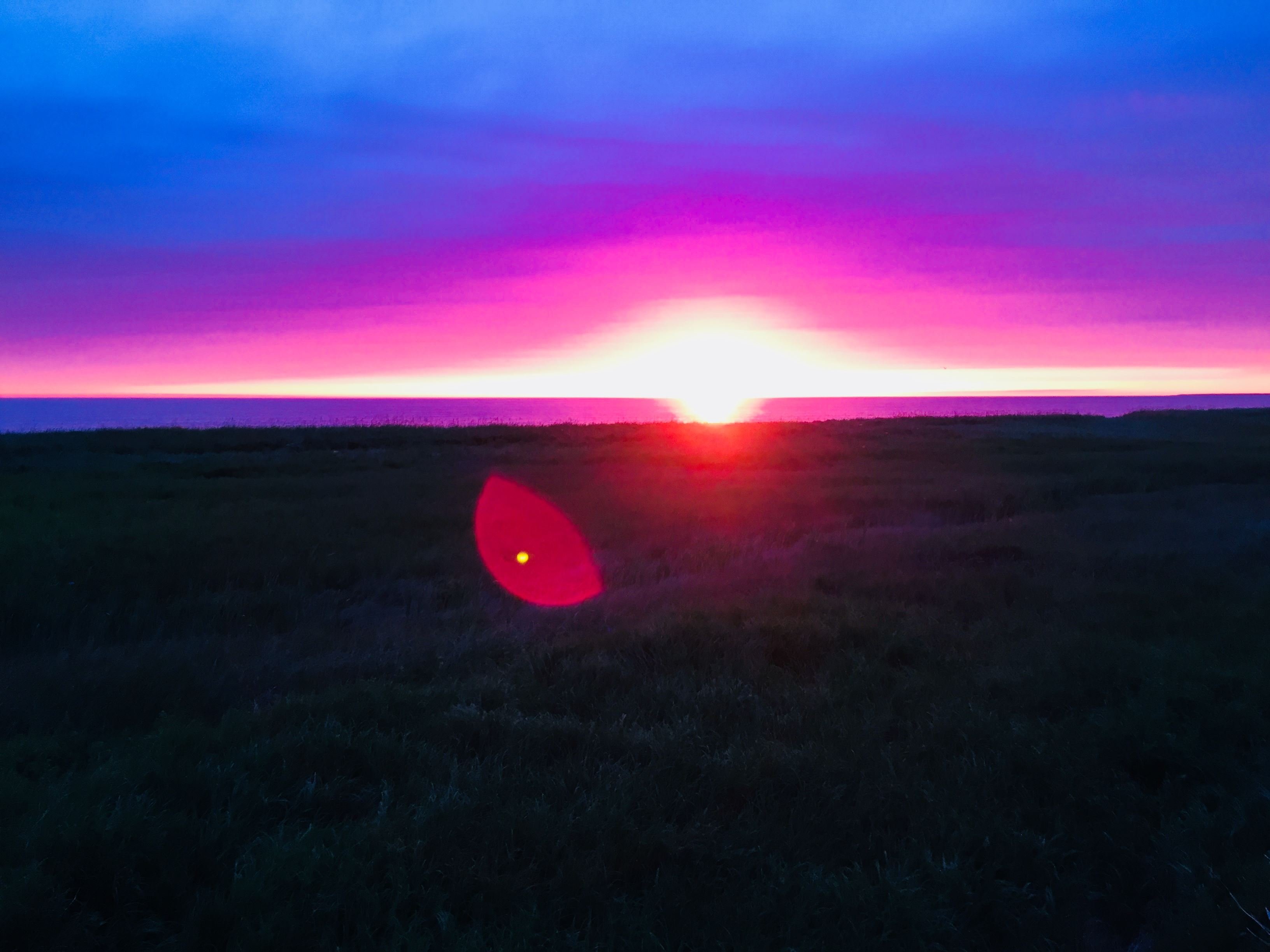 StellaMPittman1's profile picture. Newfoundlander born and bred. Wife, mother and Grandmother to four grandchildren. Loves nature and its beauty.