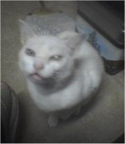 anchor37's profile picture. Steamで一緒に遊んでくれるヒトいないかな(´・ω・`)
プログラムもやるよ