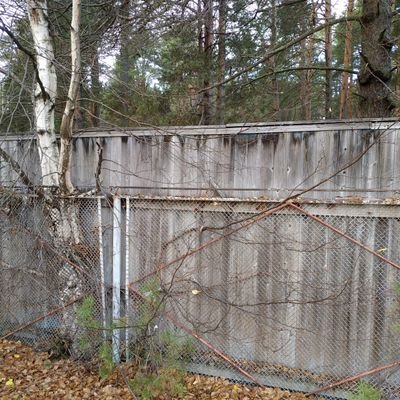 rixtorinator's profile picture. санкционный продукт