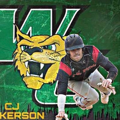 thekidwilk's profile picture. WilmU Baseball