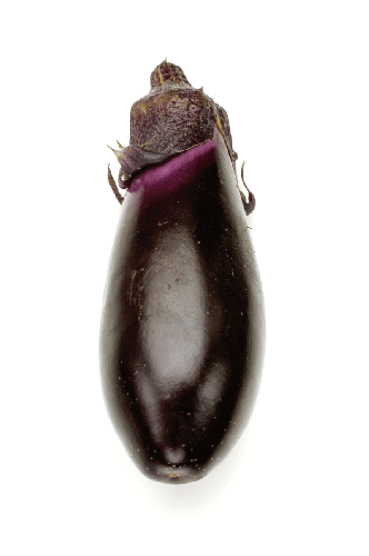 kensho_nasubi's profile picture. 懸賞生活をコツコツ頑張っています。昔いたアノ芸人とは別人ですｗ