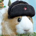 C (@cathalmono) Twitter profile photo C (@cathalmono) Twitter profile photo