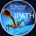 IPATH (@ipath) Twitter profile photo IPATH (@ipath) Twitter profile photo