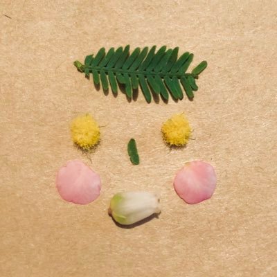 sato_ming's profile picture. 映画と刺繍と。縫ったり書いたり踊ったりStranger。
