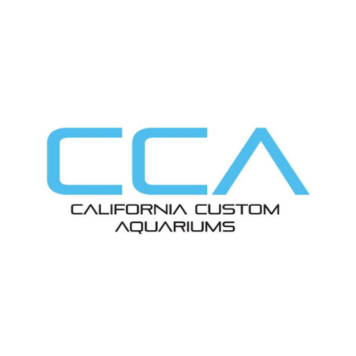 Custom aquariums that bring a piece of the ocean's beauty to you, exactly as you envision it.