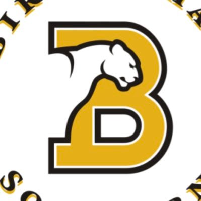 Birmingham Southern College Softball. Southern Athletic Association. Dlll.