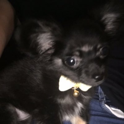 ぱぱぱぱーん ニベアはニキビのもとになるみたいなのでやめたほうがいいみたいです 私もニベア塗ってニキビ たくさんできたので美容皮膚科行ったらそこの先生にニベアは顔に塗るものじゃないと今すぐやめなさいって言われました ぱぱぱぱーん ニベアはニキビのもとになるみたいなのでやめたほうがいいみたいです 私もニベア塗ってニキビ たくさんできたので美容皮膚科行ったらそこの先生にニベアは顔に塗るものじゃないと今すぐやめなさいって言われました