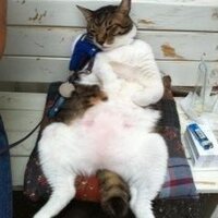 やまD (@y_you1) 's Twitter Profile Photo