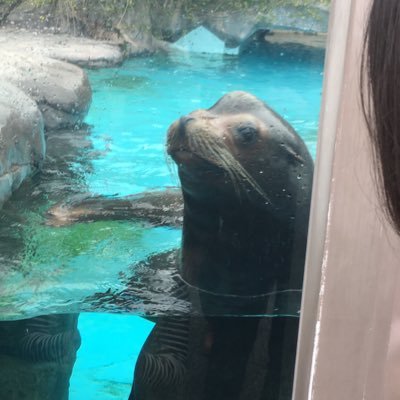 活動終了しました 早稲田大学動物園水族館研究会 Zoozoogogo Twitter