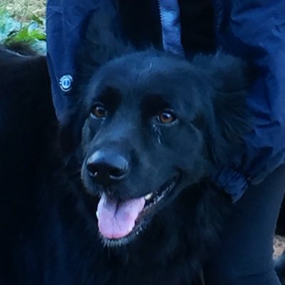 petree_rayna's profile picture. 