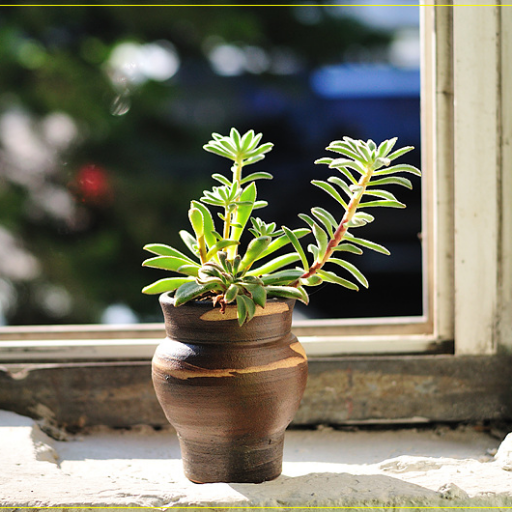 godimage1's profile picture. 