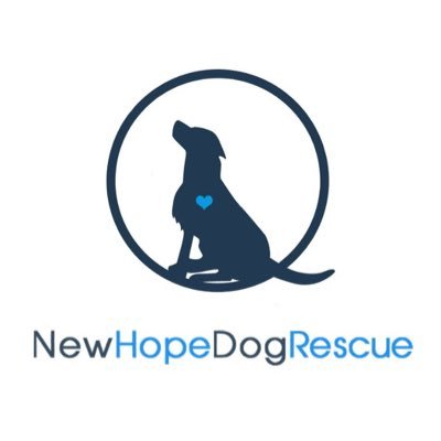 NHDR is a registered charitable organization dedicated to fostering rescued dogs based in Saskatoon, SK.