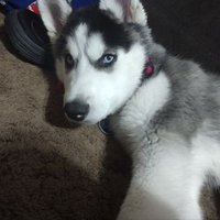 Jaime Beltran (@jd_beltran) 's Twitter Profile