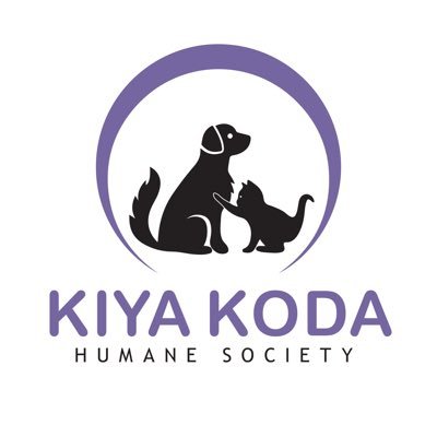 kiya koda animal shelter