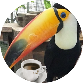 kuku2424's profile picture. ツイはもろもろの備忘録。 ギターとオカリナをとつとつと練習中。歌も好き。英語、スペイン語、中国語をかじり中。多肉植物も好き。フォローもマイペースでいたします。