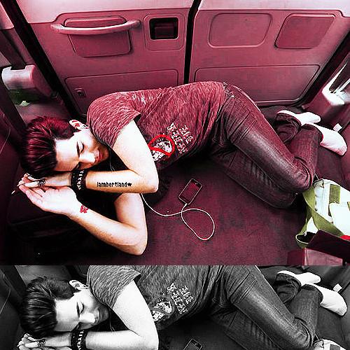 lambertland's profile picture. 