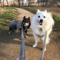 white (@white19429512) 's Twitter Profile Photo