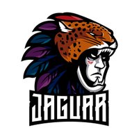 Team Jaguar Esports (@teamjaguarr) 's Twitter Profile