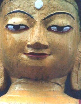 deMerclesden's profile picture. Film, Theatre, Cricket, Wine and Politics - typically parallel lines, occasionally glorious convergence