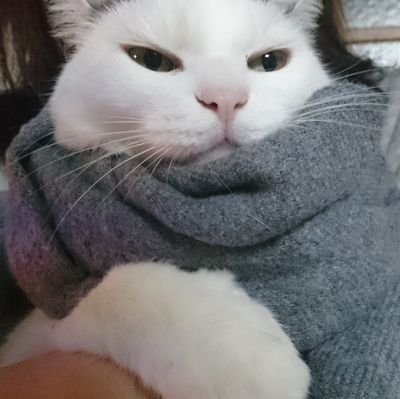 joichi_xproject's profile picture. 25歳/福島