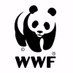 Grupo Local WWF Granada (@wwfgranada) Twitter profile photo Grupo Local WWF Granada (@wwfgranada) Twitter profile photo