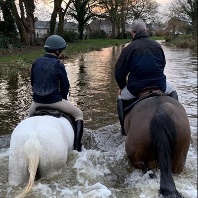 Irish Point to Point Trainer / Bloodstock Agent