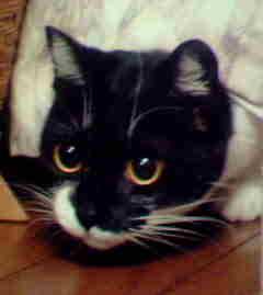 Bluesmobile325's profile picture. 某ホテルチーフコンシェルジュ時々フリーのイラストレーター。子供2人育てるシングルファーザー X-TRAIL T32. ロードバイク、カーゴバイク、SuperGT, RALEIGH CRF Nismo. Omnium Cargo Bike