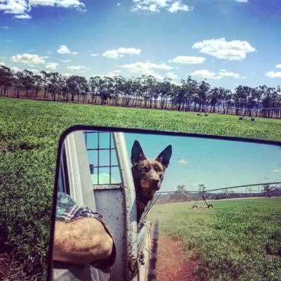 Uninformedfarm1's profile picture. Agricultural Blog. Trying to tackle the big issues. All opinions my own. Caleb@uninformedfarmer.com https://t.co/cavQw0SViV