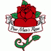 Profile Picture of Poor Man's Roses (@PoorMansRoses) on Twitter