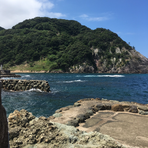 阪神間で青物狙ってます。他の釣りもかじる程度に...