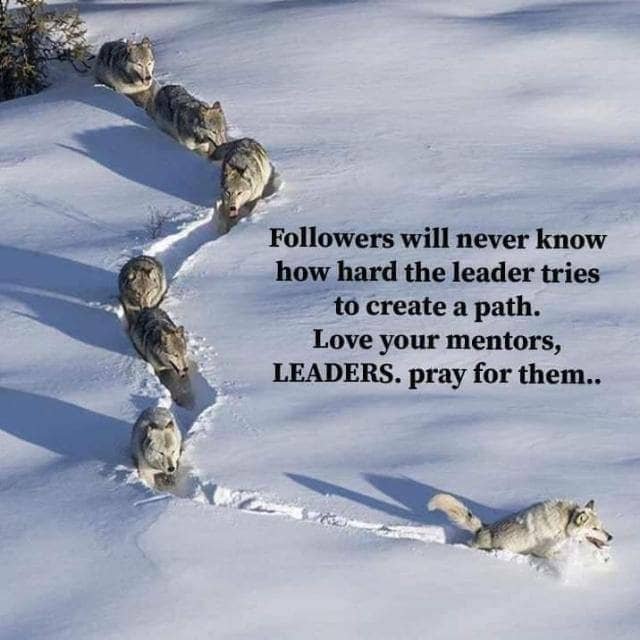 MroiswaPardon's profile picture. Refrigeration and air conditioning technician based in Gweru