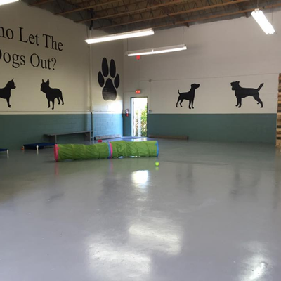 Embark Doggy Daycare On Twitter Slow Your Dog S Meal Times Down Embark Doggy Daycare On Twitter Slow
