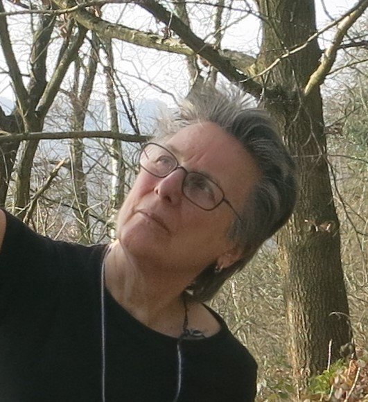 sarahcook_art's profile picture. Artist based in #Sheffield and #PeakDistrict, casting bronze sculptures and displaying magic in the woods #artinthetimeofcorona